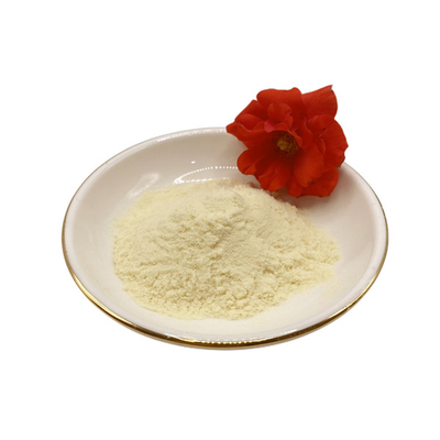 95 Percent Soy Protein Powder Plant Source Enzymatic Hydrolysis Amino Acids