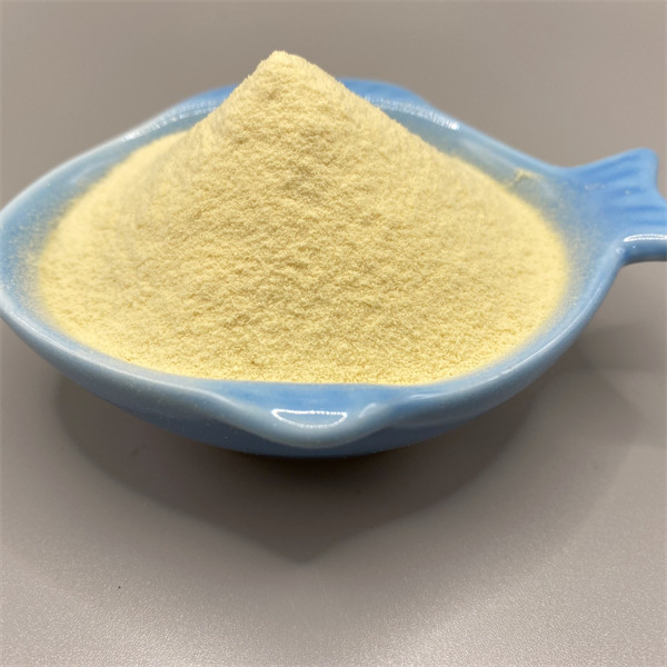 500g Light Yellow Amino Acid Powder - Plant Source Performance