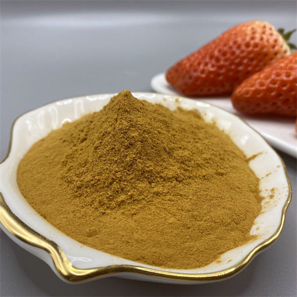 Powdered Chitosan Oligosaccharide Light Brown 95% Deacetylation Water Soluble