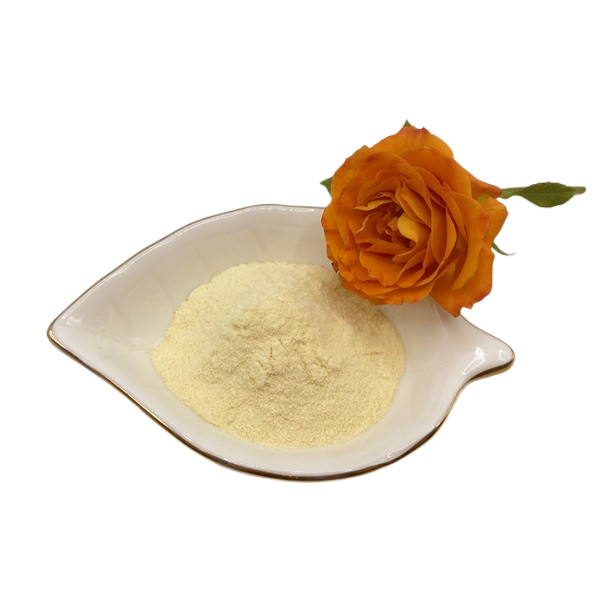 Light Yellow Hydrolyzed Soy Protein Powder with 90%~95% Protein and 100% Water Solubility